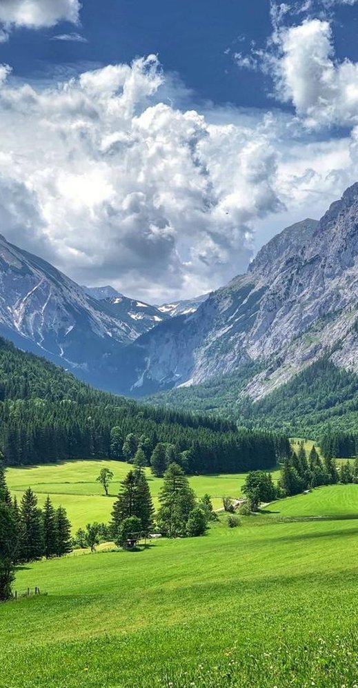 Andrei_TheFirst's tweet image. 少し妄想した 👻