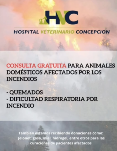 michiamarilloCC's tweet photo. 21. Hospital Vet de Concepción ofrece atención gratuita a las masctotas. https://t.co/8YkMreOe7n