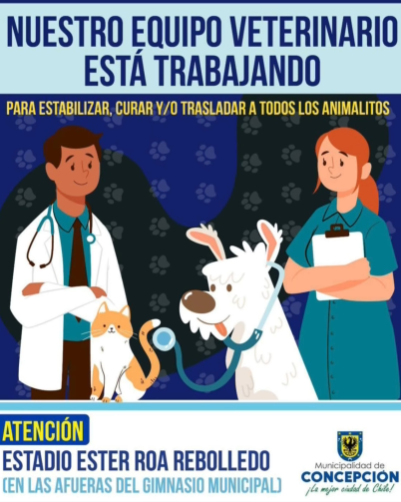 michiamarilloCC's tweet photo. 22. Atención veterinaria fuera del estadio Ester Roa https://t.co/qVLvHfmVtj
