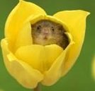 httpkatty's tweet image. オムライスが大いに爽快すぎる 👩‍🏭