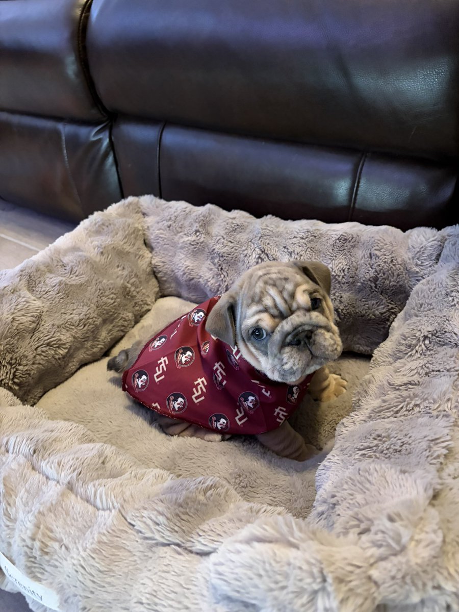 Shane and Michelle Kirkley tweet media