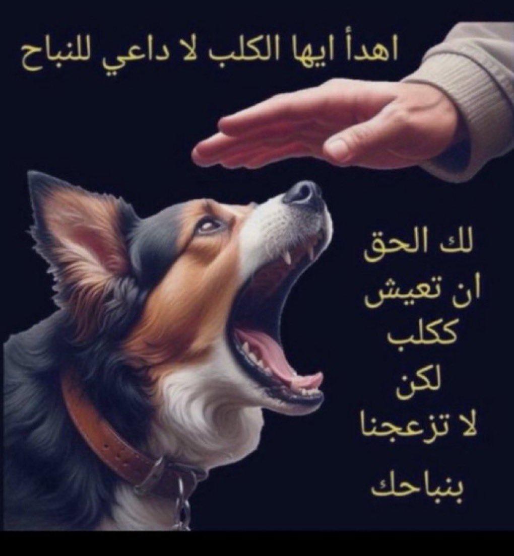 haazz2345's tweet photo. @Ali_Albukhaiti https://t.co/W5NzxgkW5P