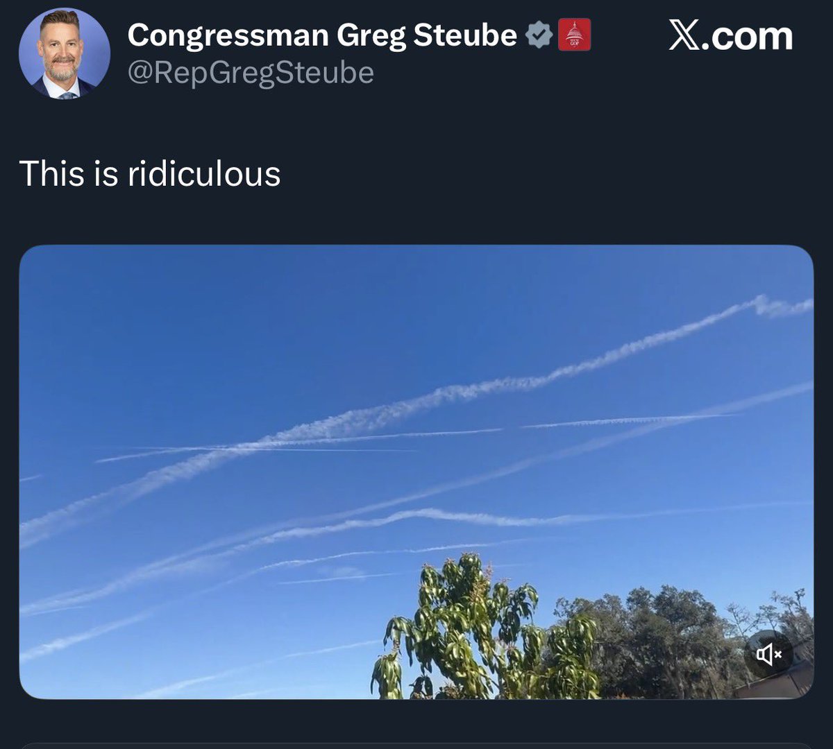 greg tweet media