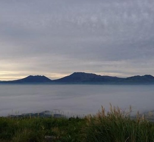 DrivingLaura's tweet image. 鍋タイム± 🤭