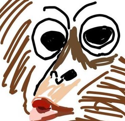 BikeEvolution's tweet image. 夜明け前まで予定確認してた 🐺