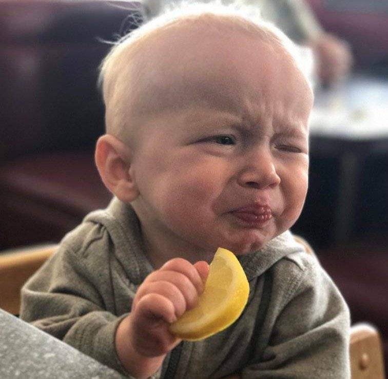 shingie wemerc tweet media