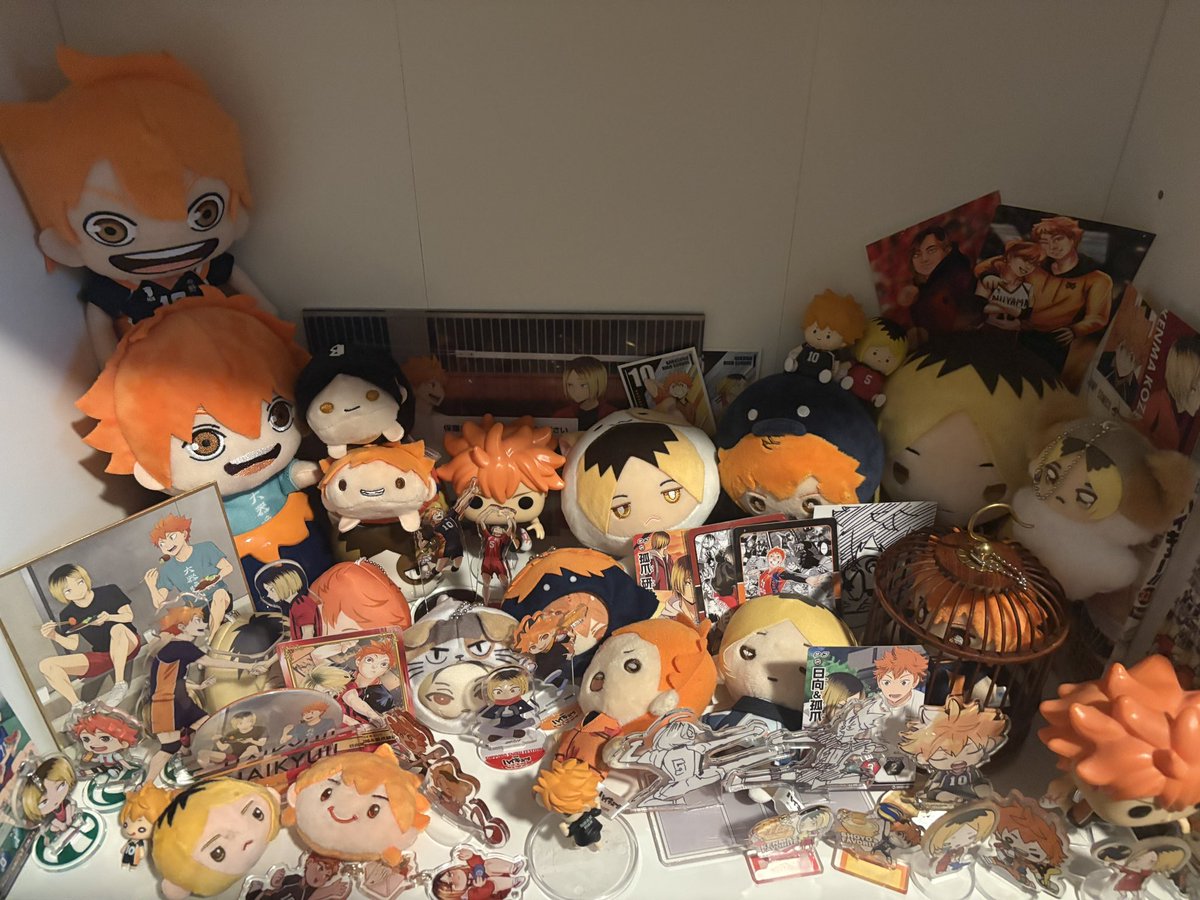 june ⚢ 💐 @bldhavenbrunnea tweet media