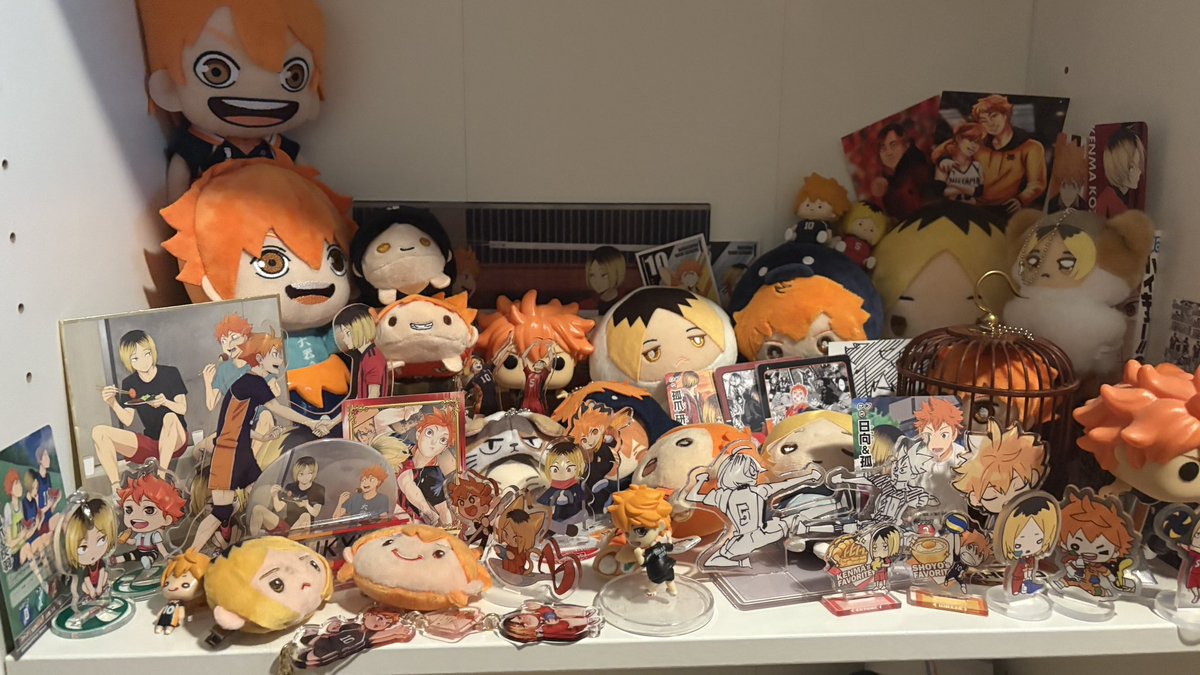 june ⚢ 💐 @bldhavenbrunnea tweet media