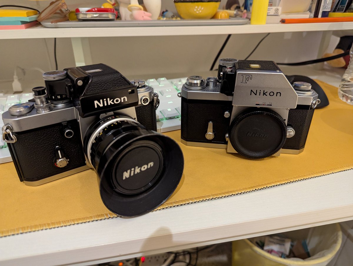 Pepethecat tweet media