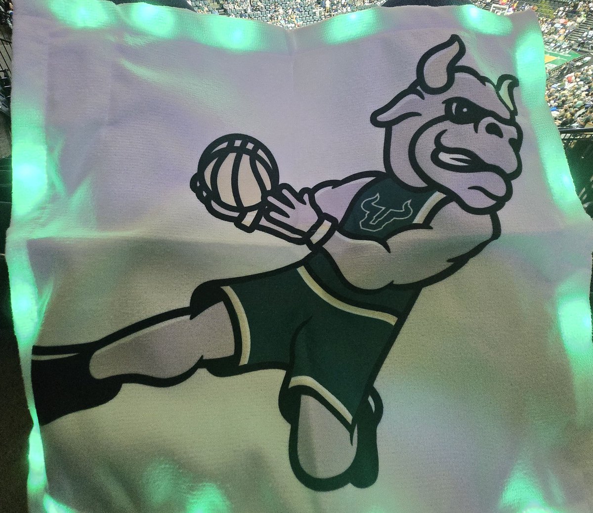 SSN_USF's tweet image. Let's GOOOO @USFMBB