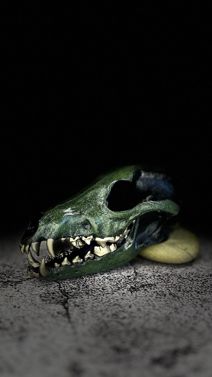 ArSkulls's tweet photo. “Jingle bells, shotgun shells, time to kill a buck.” ― Earl Dibbles Jr. https://t.co/iHAJAAVyXl