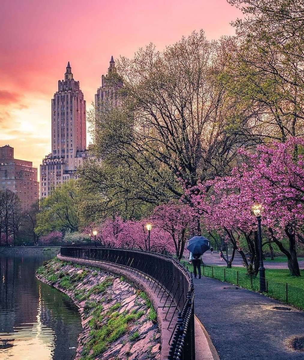 dashaluv's tweet image. 友人との待ち合わせに20分遅刻してしまった
時間管理能力を見直さなければ 👏