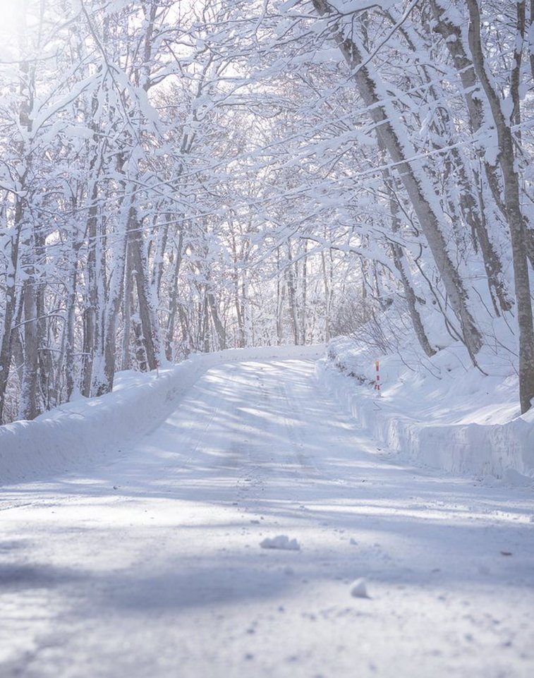 Guuuui's tweet image. 母が作った肉じゃが美味しすぎて3杯もおかわりしてしまった。明日の体重測定怖い 🌭