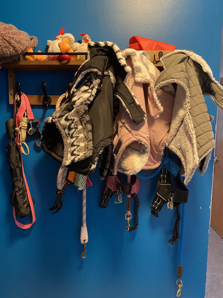 Just when you think little kids snow jackets hanging in the entry way was looong past,  then beagles come into your life. Jackets, leases and non Mom approved chickens (daddy bought them)