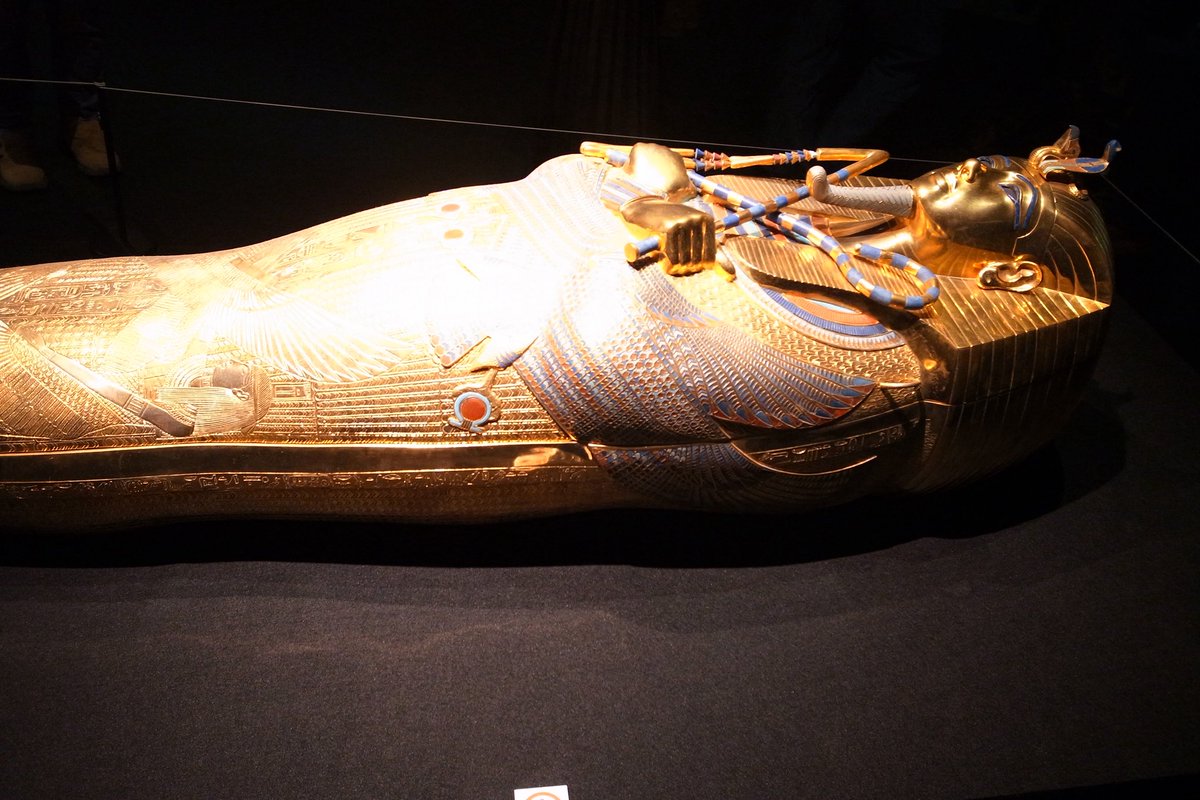 yuyux00's tweet photo. ツタンカーメン・ミュージアム
古代エジプト神話好きにはたまらない空間だった。レプリカといえどギラギラしててすべてが素敵で美しかった𓂀𓂀𓂀𓂀𓂀
#grd4 https://t.co/EmWsTTLokk