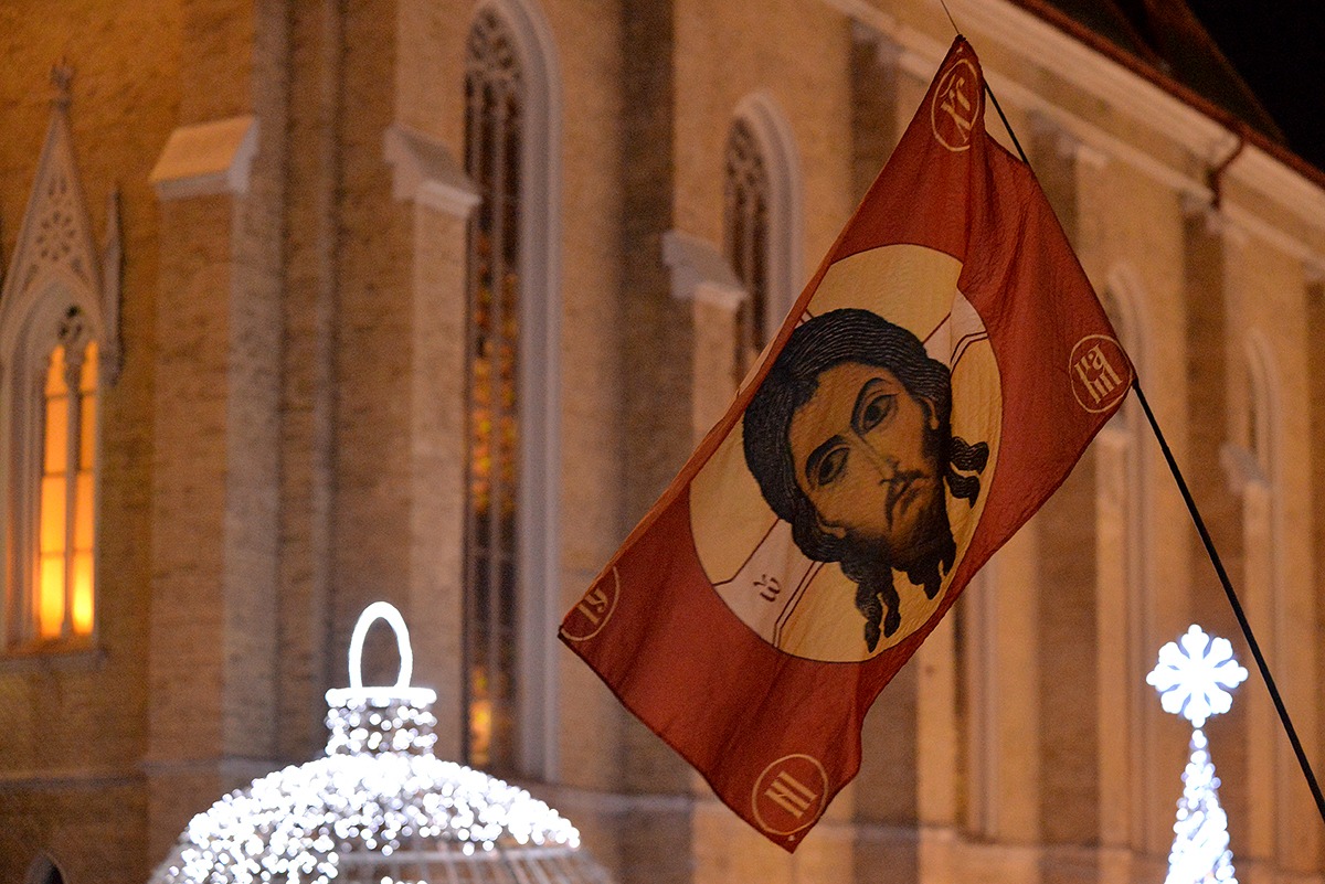 Mio Kapor tweet media