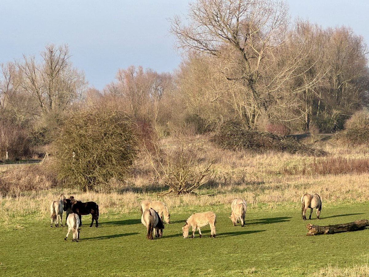 André Doets tweet media