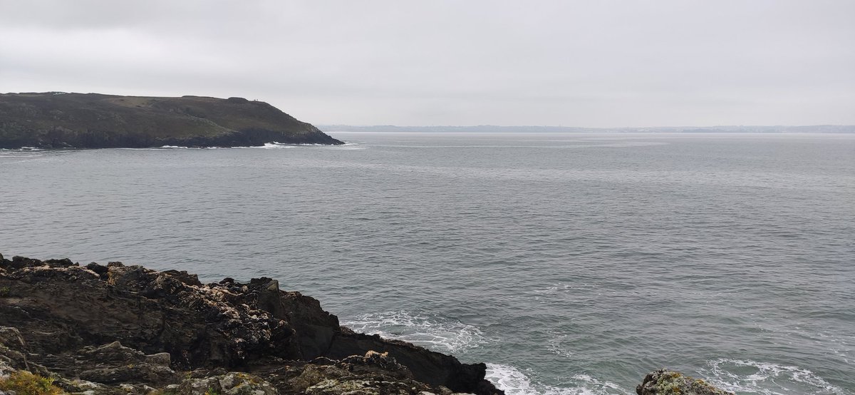 🇺🇦 Thesupermãt tweet media