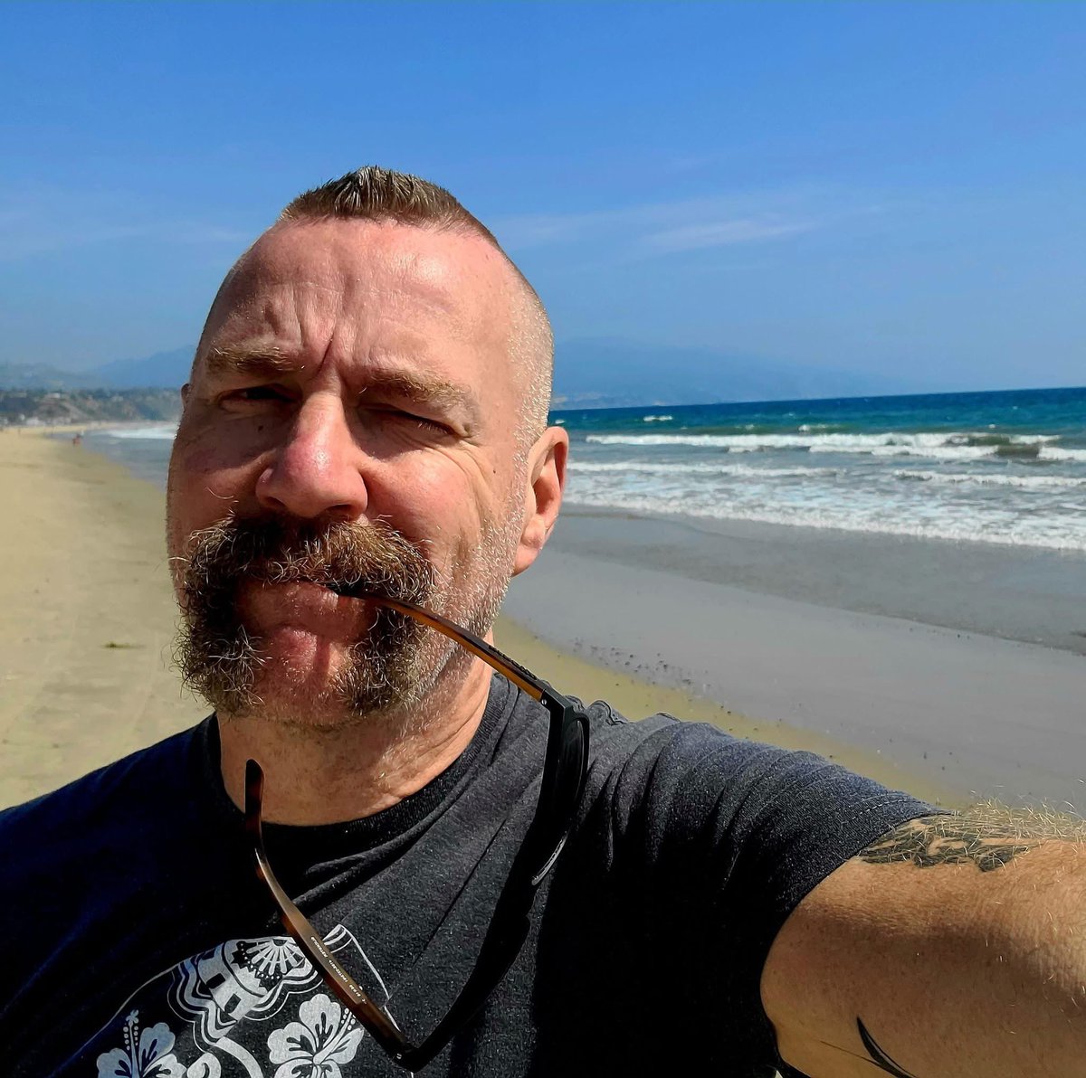 horseshoestache tweet media