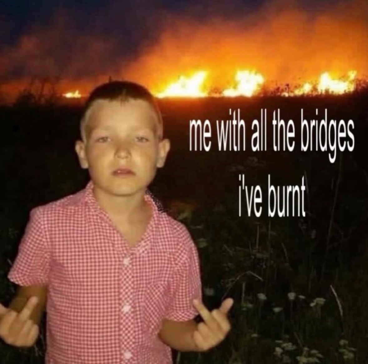 ✧ (@northstardoll) on Twitter photo 