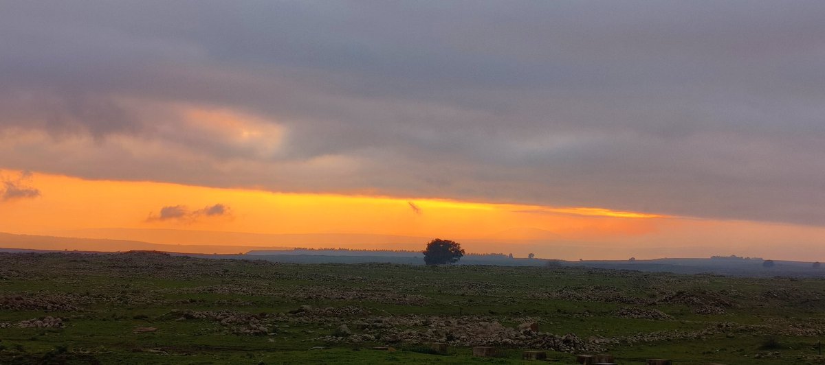 הנה חברים גם יום ראשון חלף כלא היה