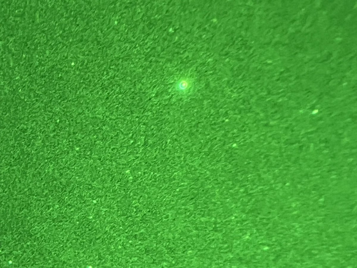 最後の力振り絞ってNV33で星空を...
鳥よけネット邪魔でフォーカス合わないし、た〜くさん星々あるのに映らない悲しみ