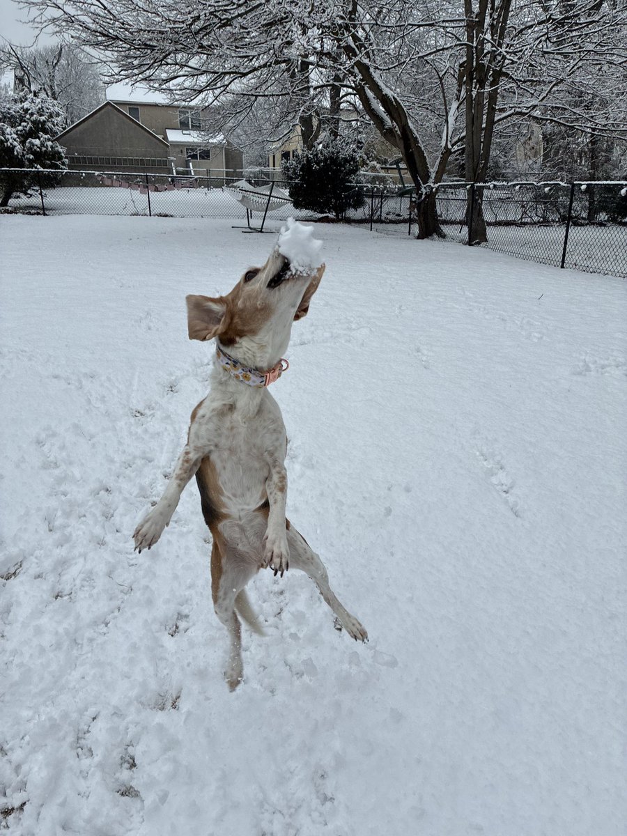 If the Mets are still looking for an outfielder, I can still get up there and get it ! 

Look at me, I can be centerfield !