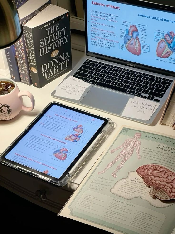 stuudynala's tweet image. ⌕: #studytwt  #studytwtbr  #collegetwt
⠀ . ⁺  lana 
    . ⁺  2007, 18 anos
   . ⁺   medicina - foco ENEM/UERJ
   ♡/↺