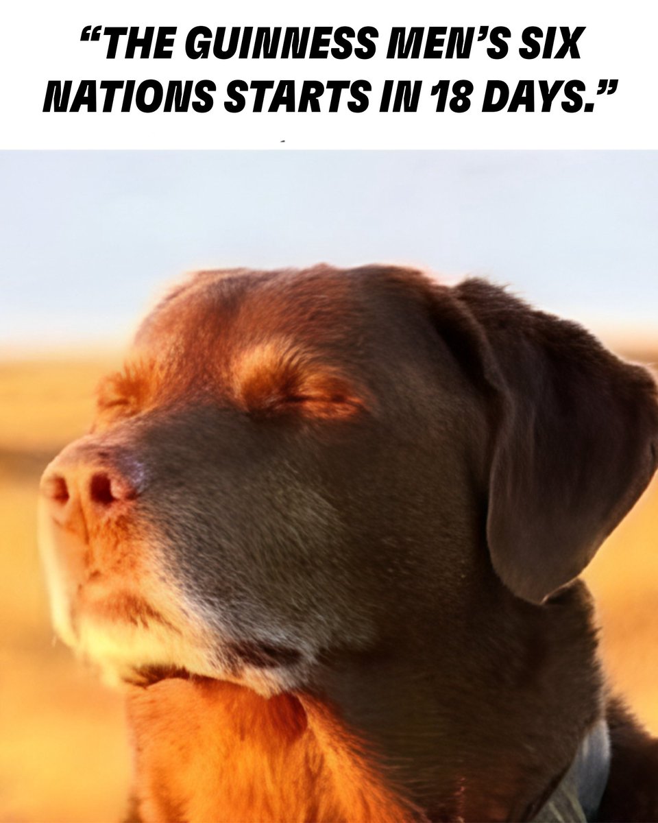 Guinness Men's Six Nations tweet media