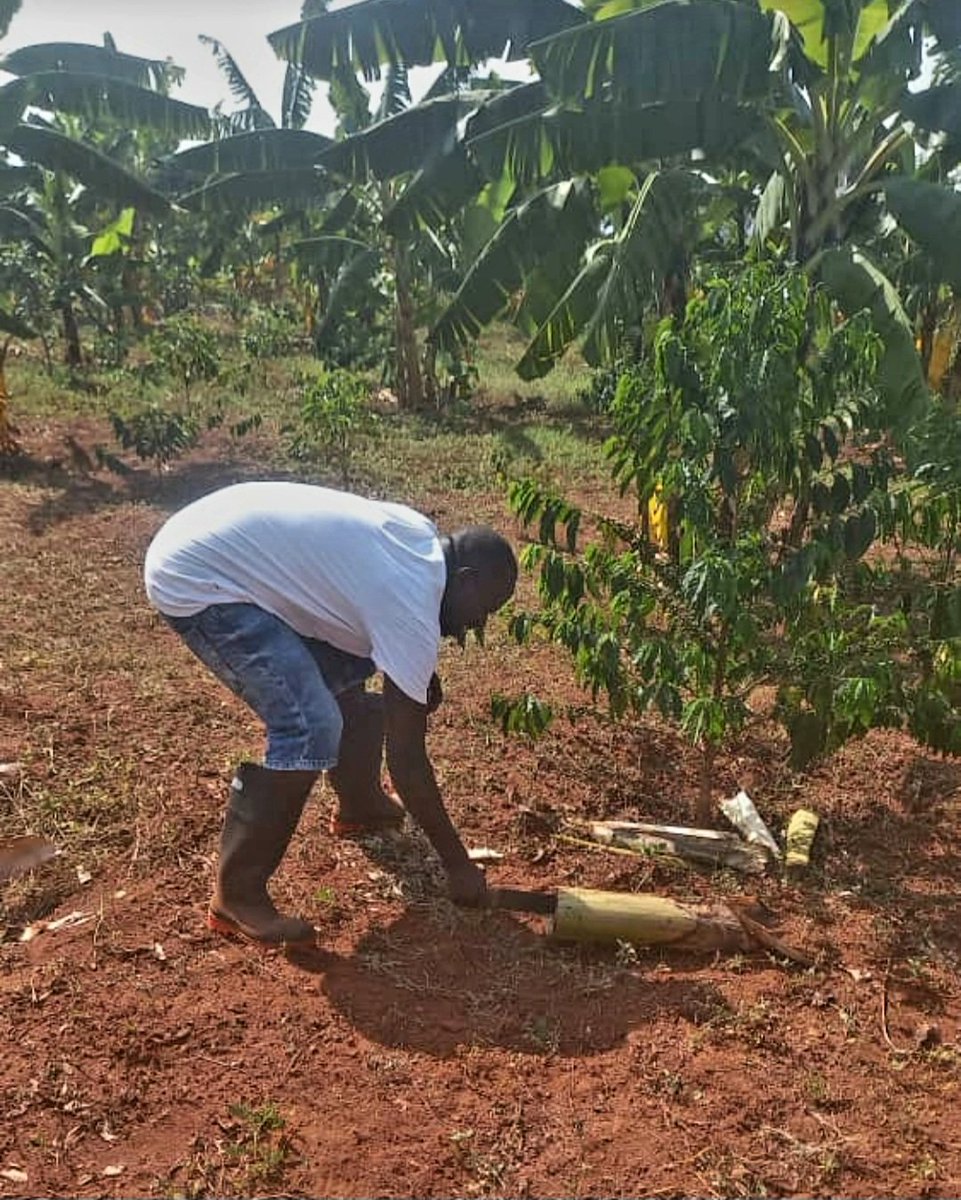 This is me trying to put up with the internet_less holiday