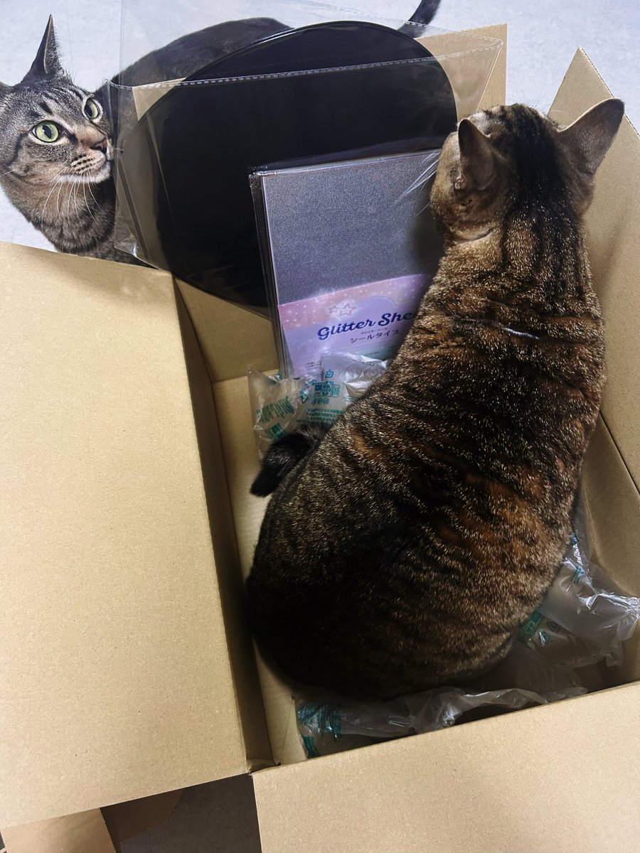 ライブの延期が発表されるまさに前日に注文したジャンボうちわと