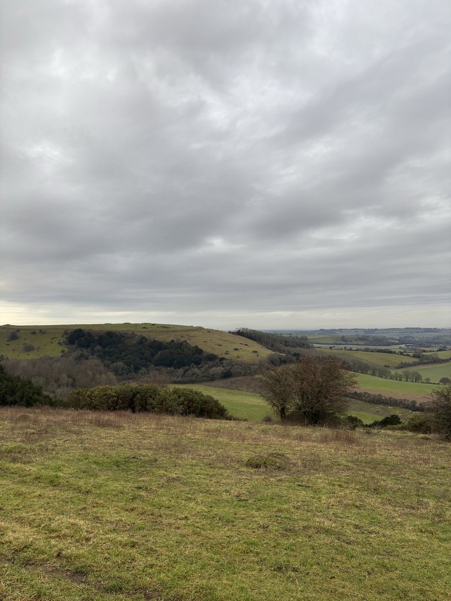 Luke Dalton tweet media