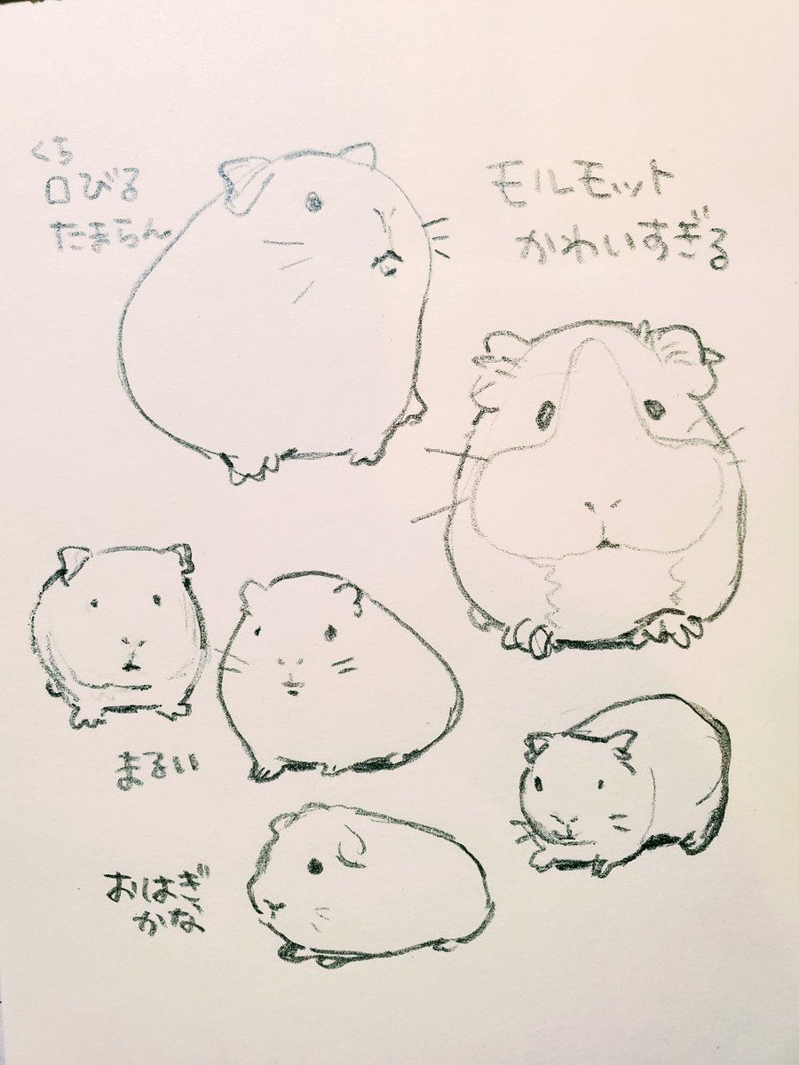 あんまりひどい tweet media