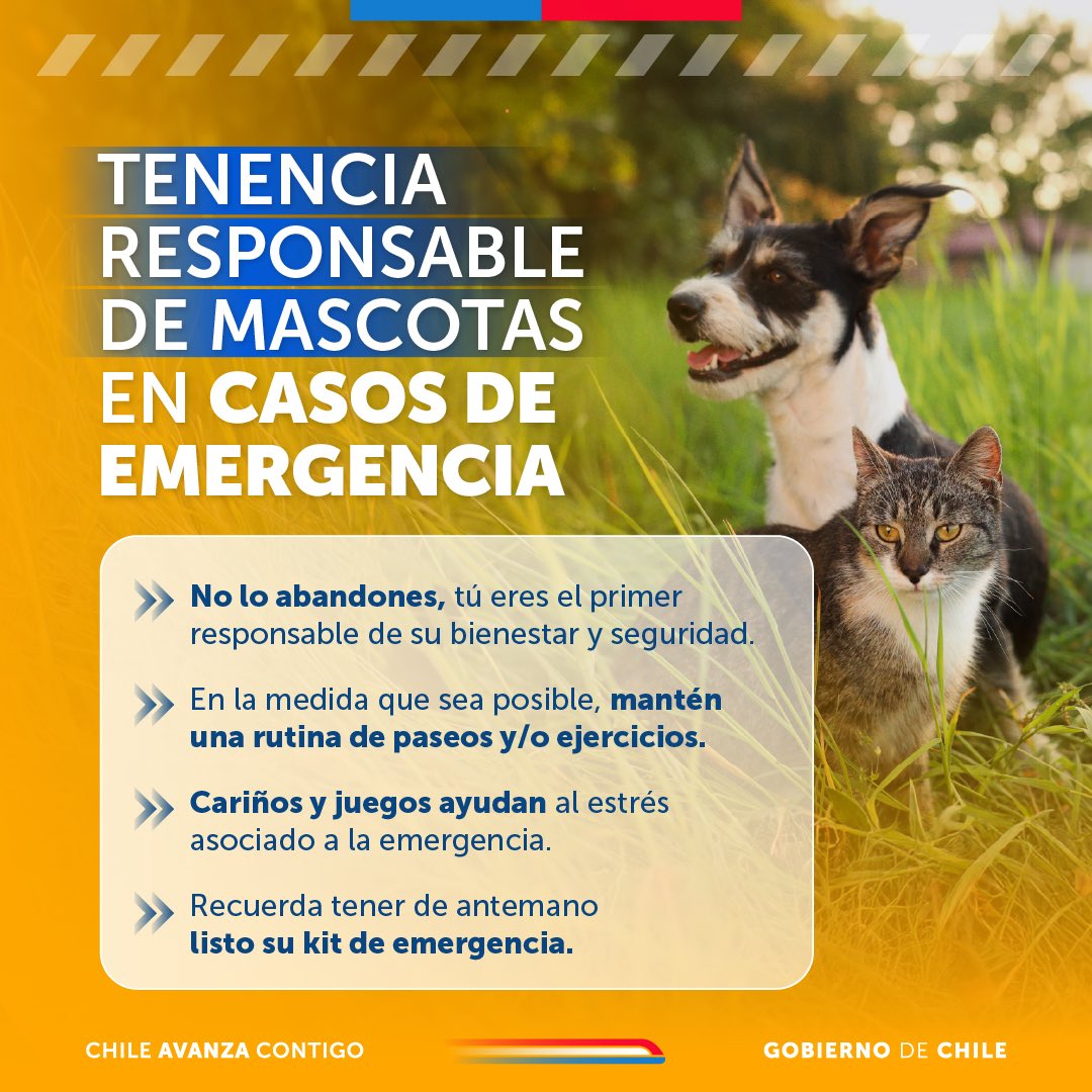 GobiernodeChile's tweet image. Si estás en una zona afectada por incendios y debes evacuar, recuerda: ¡No abandones a tu mascota! Eres la persona responsable de su bienestar y seguridad 🚨