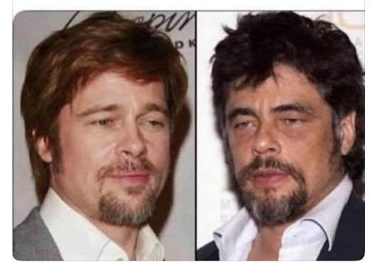 MajToure999 tweet media