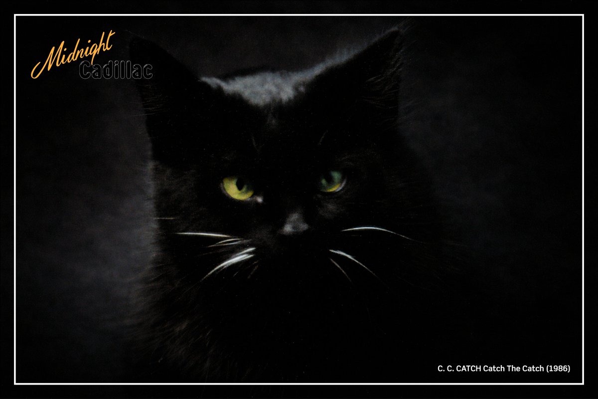 mid_cadillac's tweet image. Midnight Cadillac Photo Collection #10
C. C. CATCH Catch The Catch (1986)
#midnightcadillac #cccatch #dieterbohlen #catchthecatch