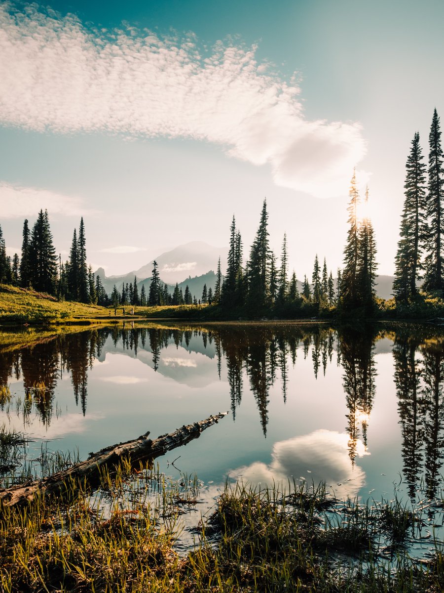 placesmagi's tweet image. 