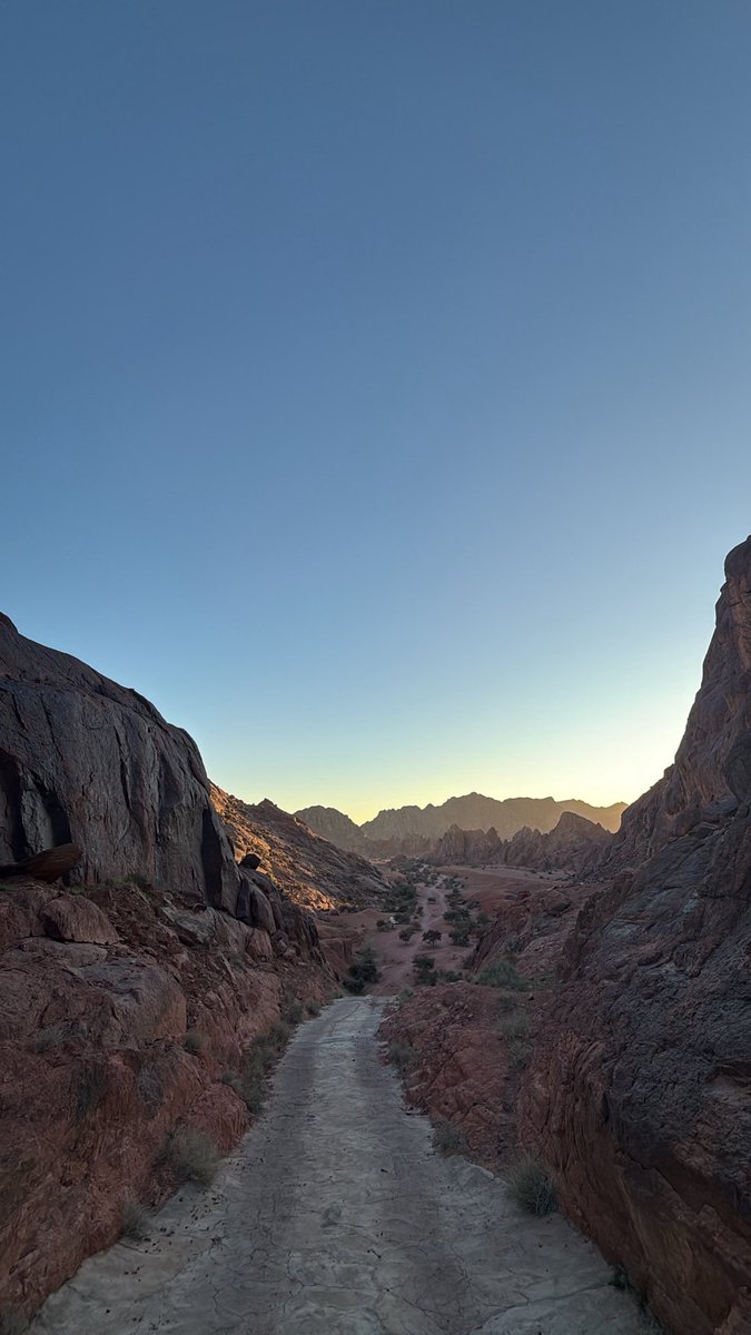 البراء احمد البوعلي tweet media