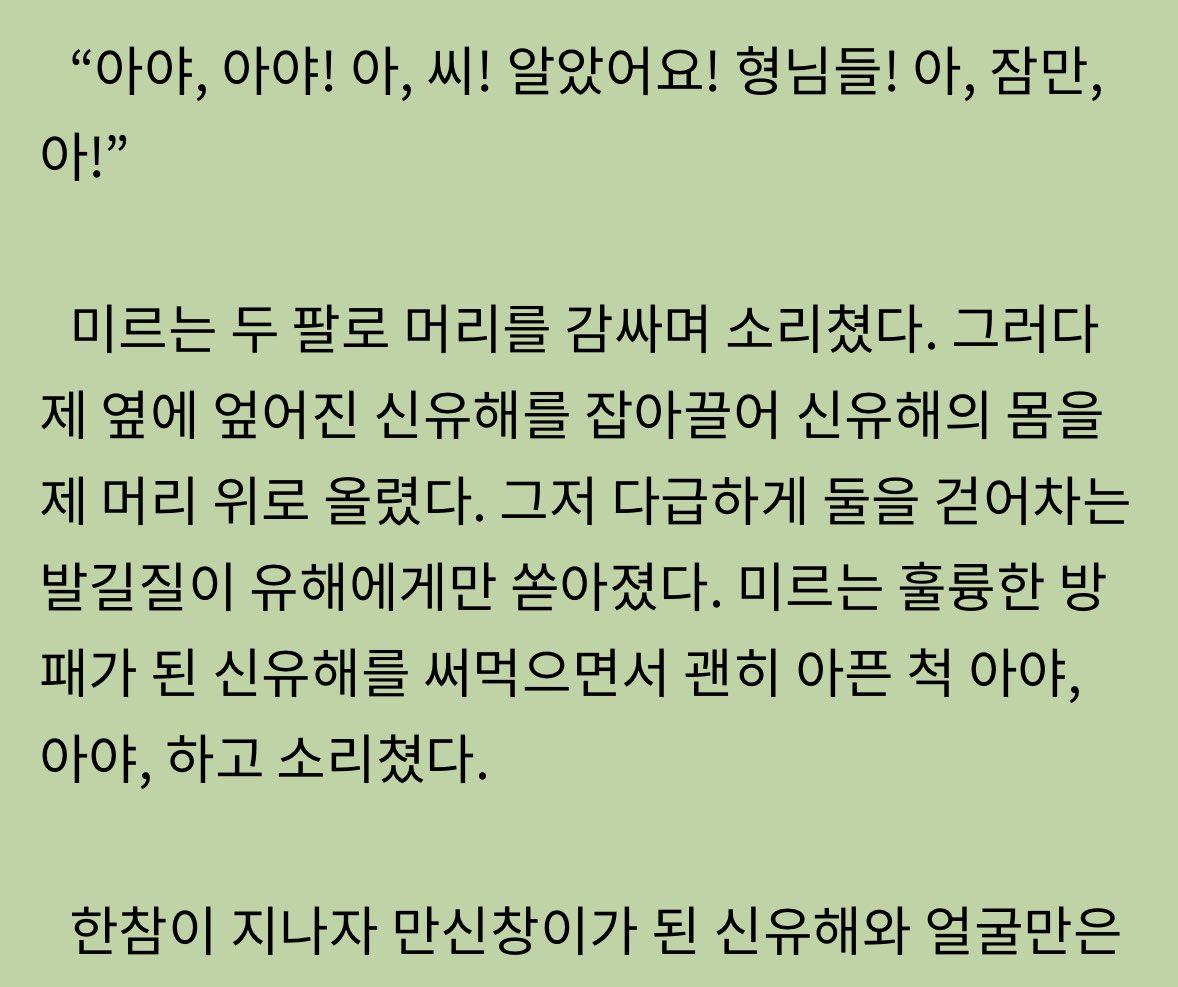 짝남인간방패로쓰는수어떰