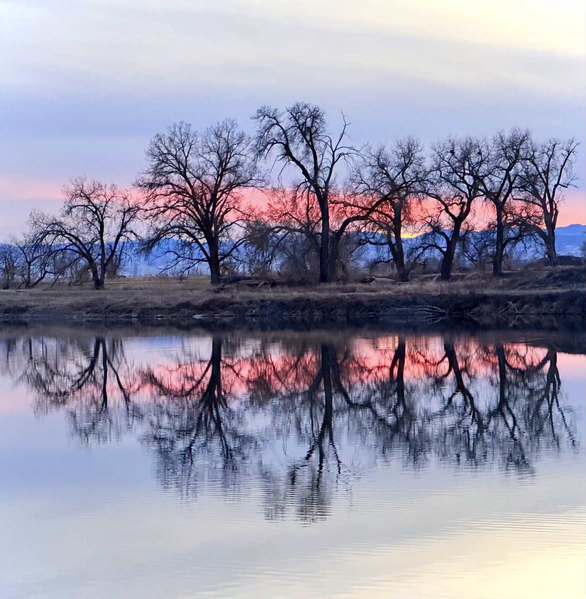 DMiller52325459's tweet image. GM! #nature #photography #winter

For #SundaySharing please share or QP your favourite #PhotoOfTheWeek.  

There is no theme - anyone can join in, please do!