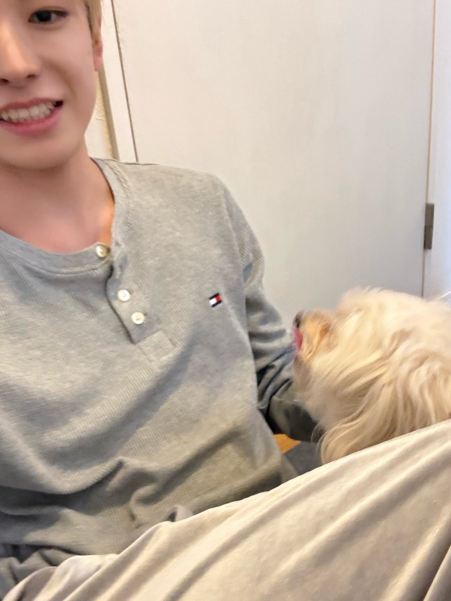 아니 ㅇㅇㅅ 집에 너무 안 가서 강아지들 사이에서 왕따식 포지션일 줄 알았는데
강쥐가 생각보다 좋아하는 거 같음 윳견을