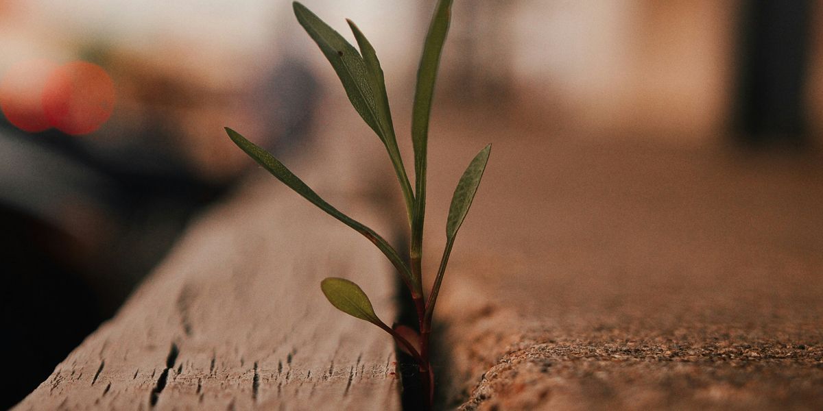 RichardRohrOFM's tweet image. “Repent” (or metanoia in Greek) means to turn around, to change. The first word that comes out of Jesus’s mouth is repent, change.  

Let's consider the invitation to change and discipleship that Jesus extends today. buff.ly/cflNlDo