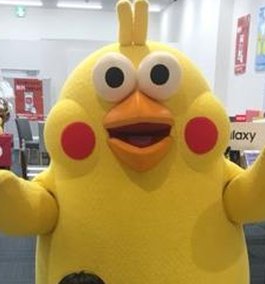 maxddfd's tweet image. 近くでプログラミングの途中 🐷