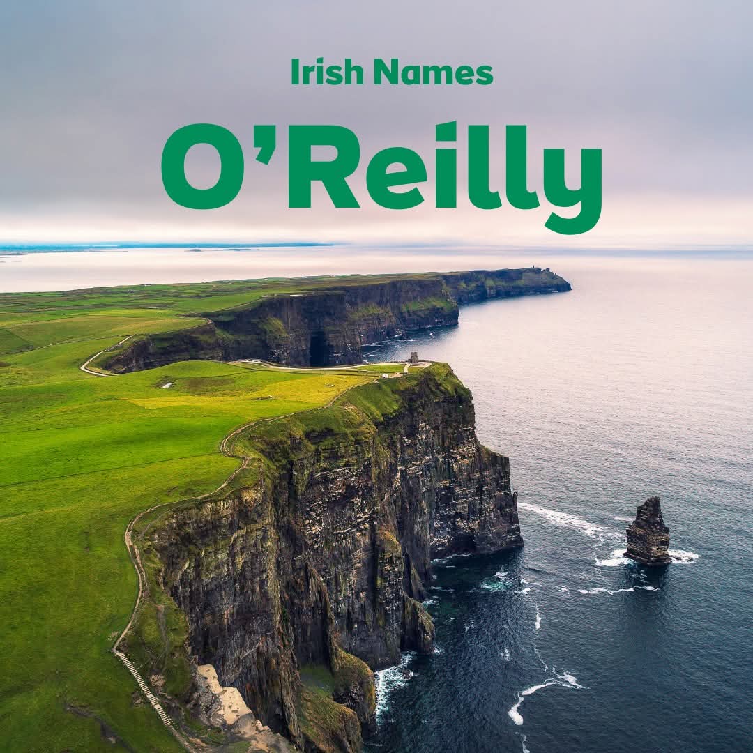 ThisIsIreland3's tweet image. Are you an O’Reilly - or descended from one?

The surname O’Reilly comes from the Gaelic Ó Raghailligh, meaning “descendant of Raghallach” The name is often associated with qualities like “valor” or “courage”

The clan originated in Co. Cavan 🇮🇪

#Cavan #Names #Ireland #Irish