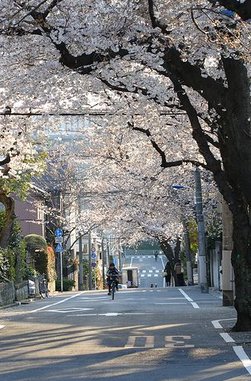 HardCorNetto's tweet image. コンビニの新商品のスイーツ試してみた ☠️