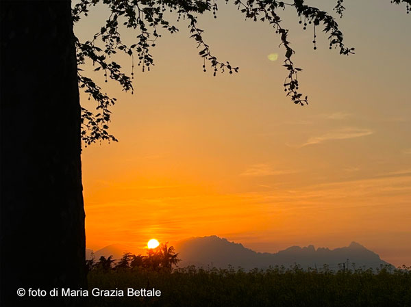 IL CSV Informa
“Le certezze non sono di questo mondo. 
E quelle poche quasi sempre sono negative”
Giorgio Faletti

Leggi l'editoriale:
csv-vicenza.org/web/2026/01/18…

#lacomunitàsiracconta 
#csvdivicenza 
#volontariatovicentino