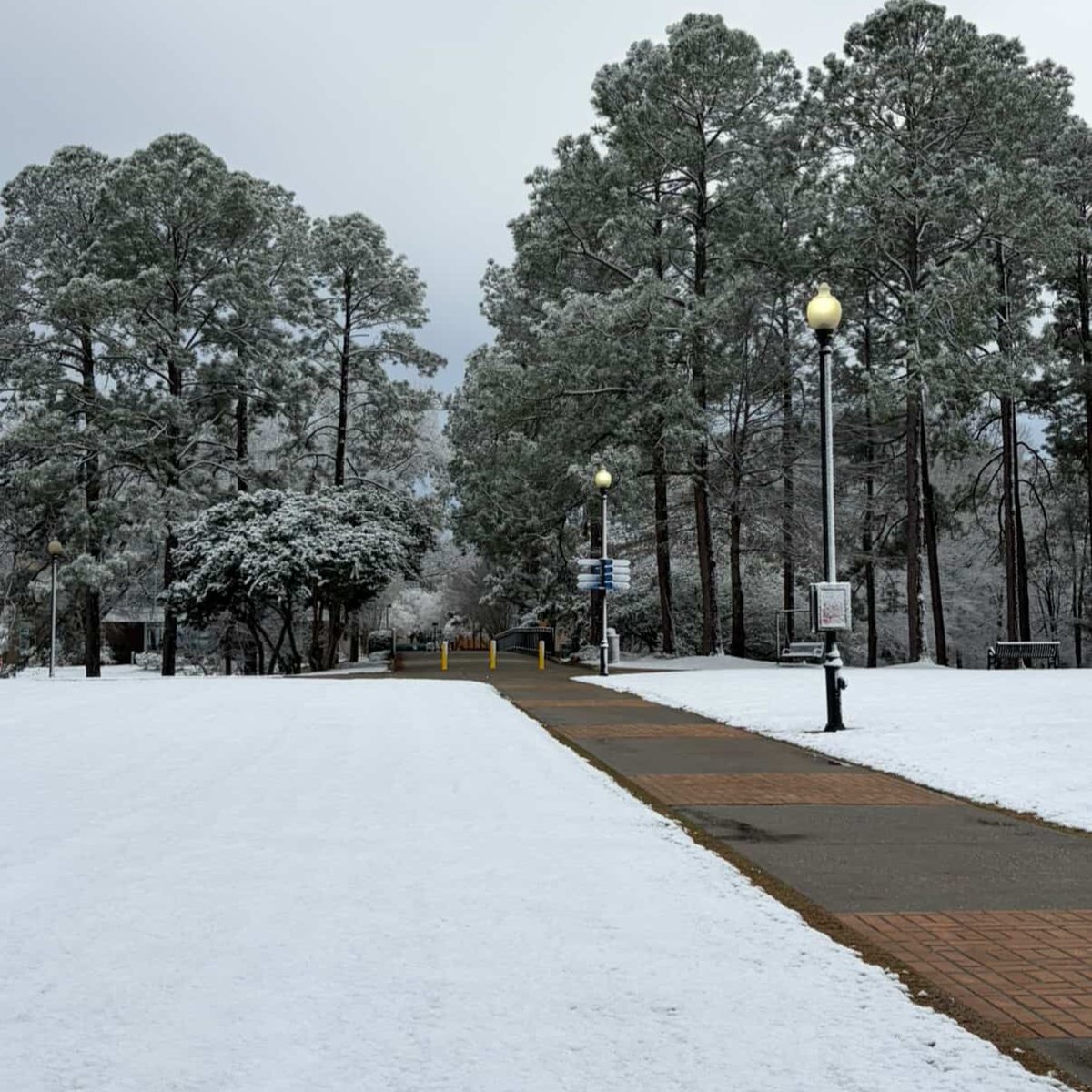 Columbus State University tweet media