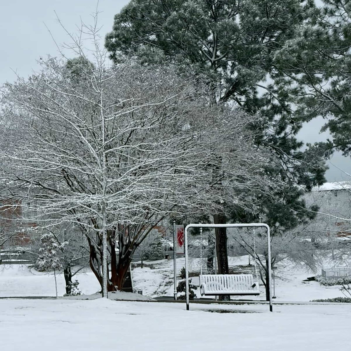 Columbus State University tweet media