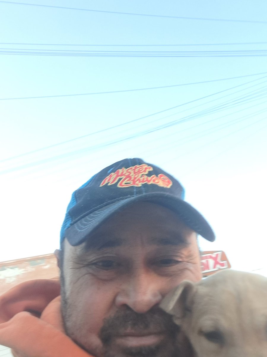 JorgeJaime_1's tweet image. Iba caminando rumbo a  empeñar mi celular y me encontré a este amigo temblando de frio y ni  modo  no lo voy a dejar solo así  este batallando para apoyo lo llevo conmigo luego le busco un hogar tal vez este batallando para alimento pero Dios provera espero regresar pronto