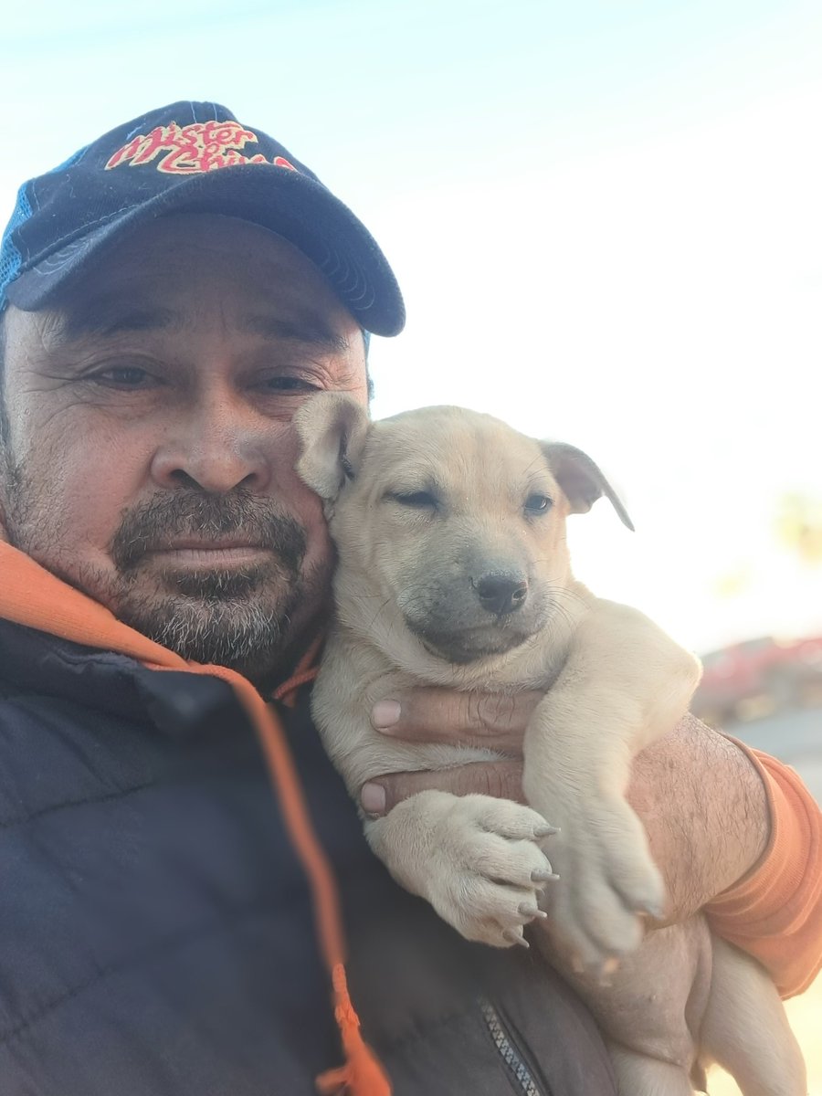 JorgeJaime_1's tweet image. Iba caminando rumbo a  empeñar mi celular y me encontré a este amigo temblando de frio y ni  modo  no lo voy a dejar solo así  este batallando para apoyo lo llevo conmigo luego le busco un hogar tal vez este batallando para alimento pero Dios provera espero regresar pronto